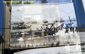 0629 Porto Matosinhos